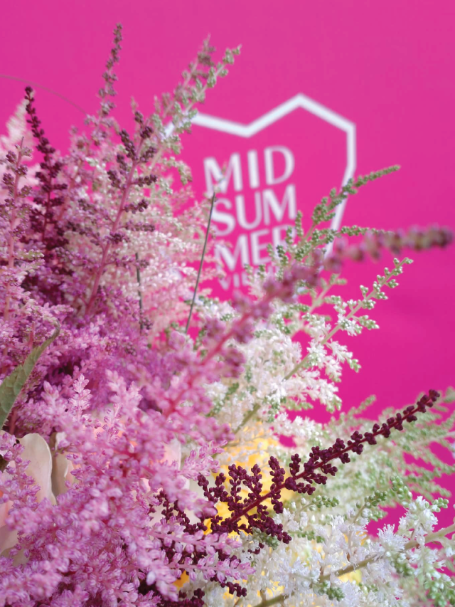 Midsummer renginio nuotrauka