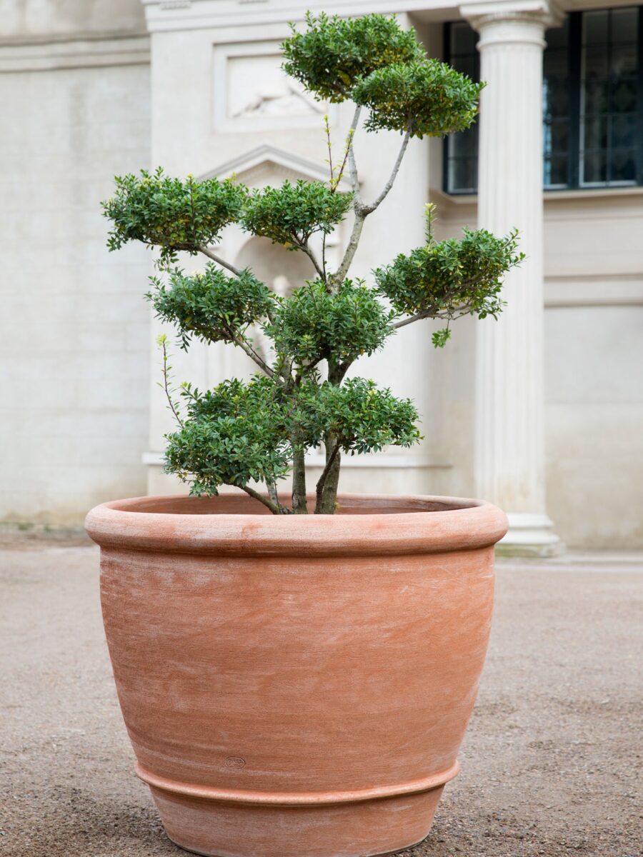 Bergs Potter vazonas Campana