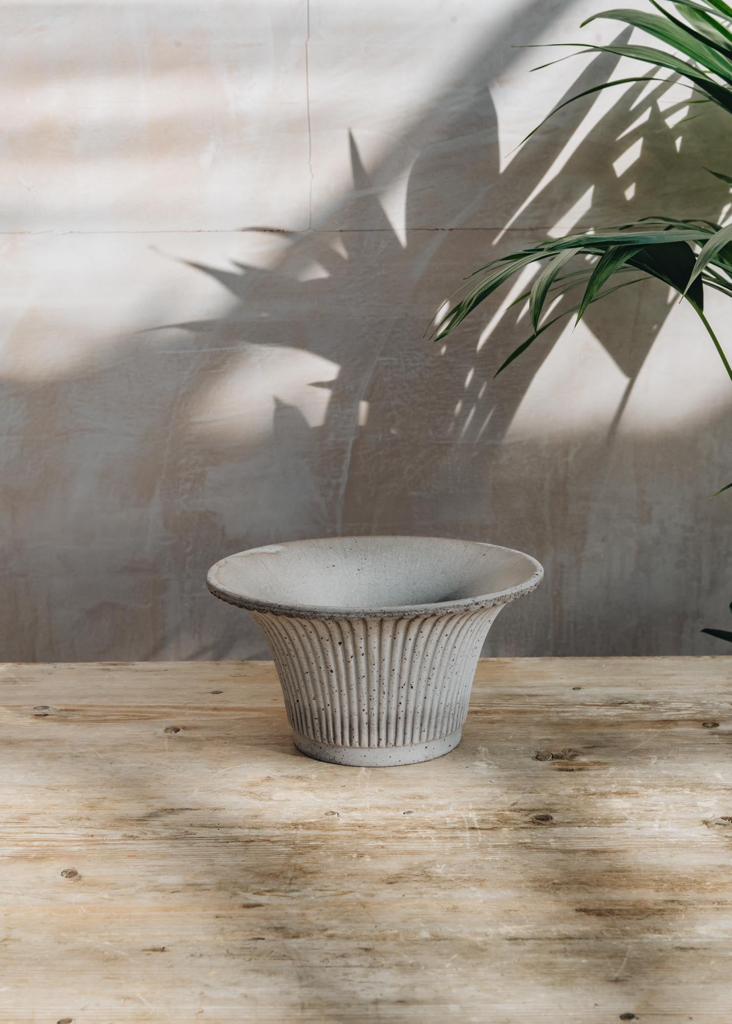 Bergs Potter vazonas Daisy