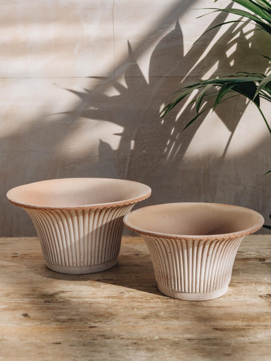 Bergs Potter vazonas Daisy