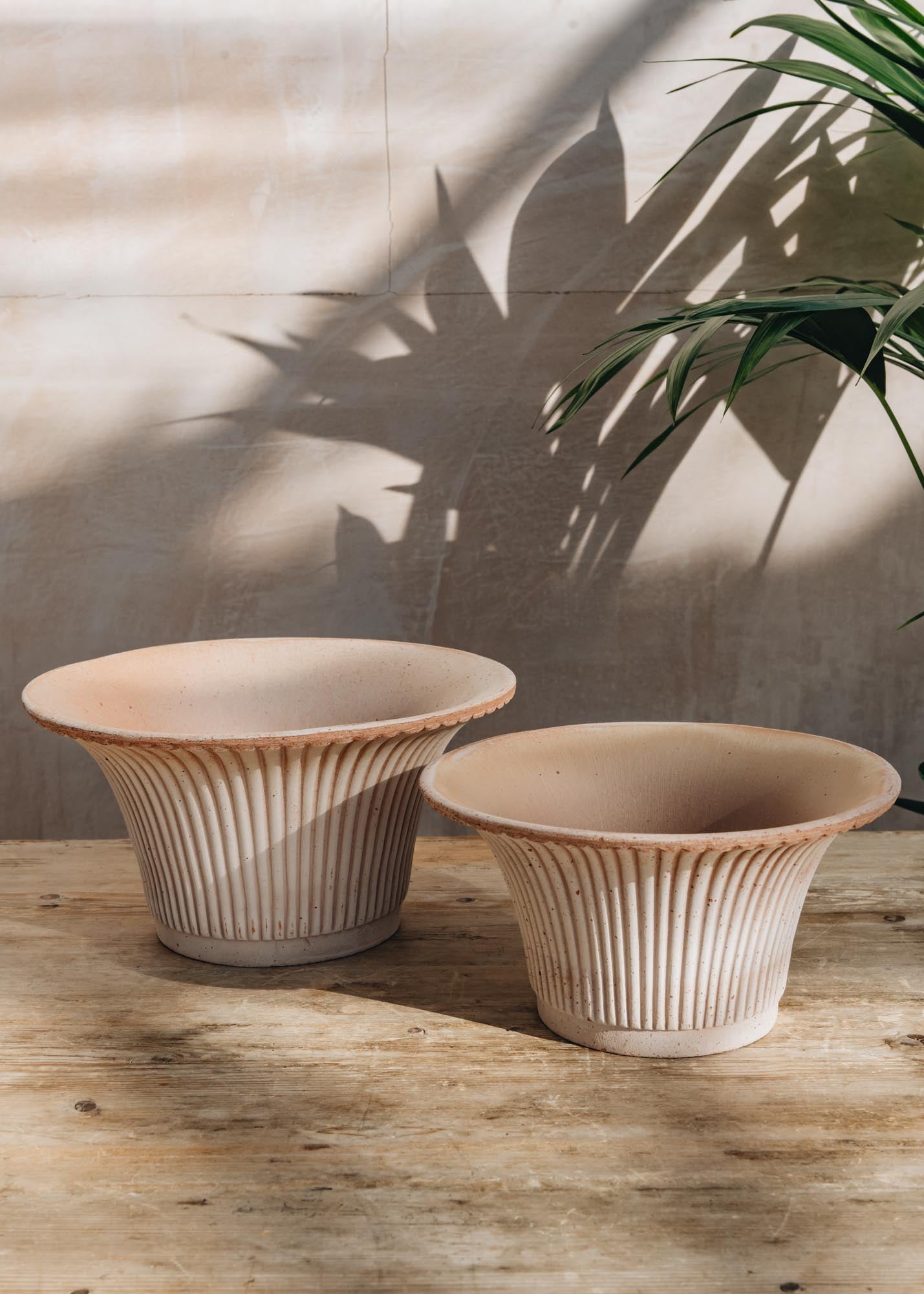 Bergs Potter vazonas Daisy