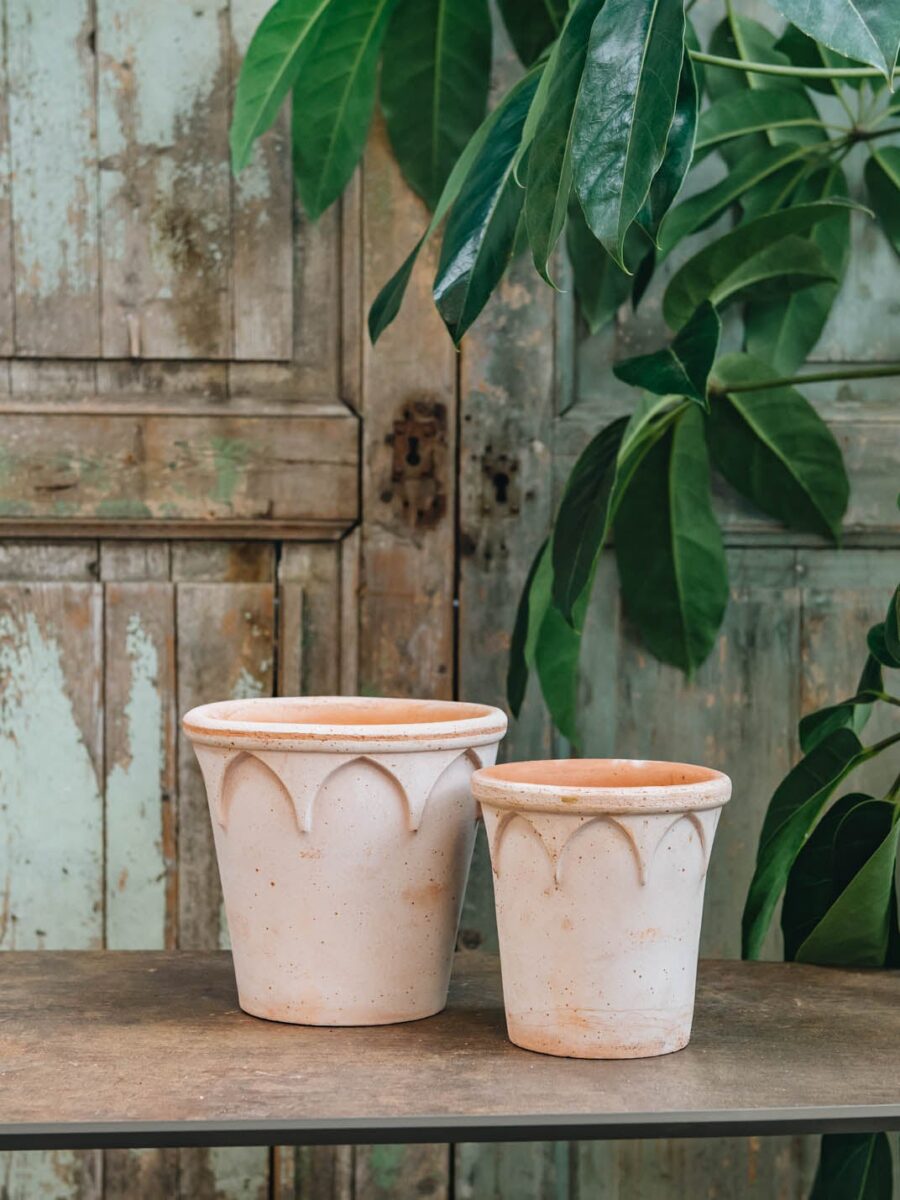 Bergs Potter vazonas Elizabeth