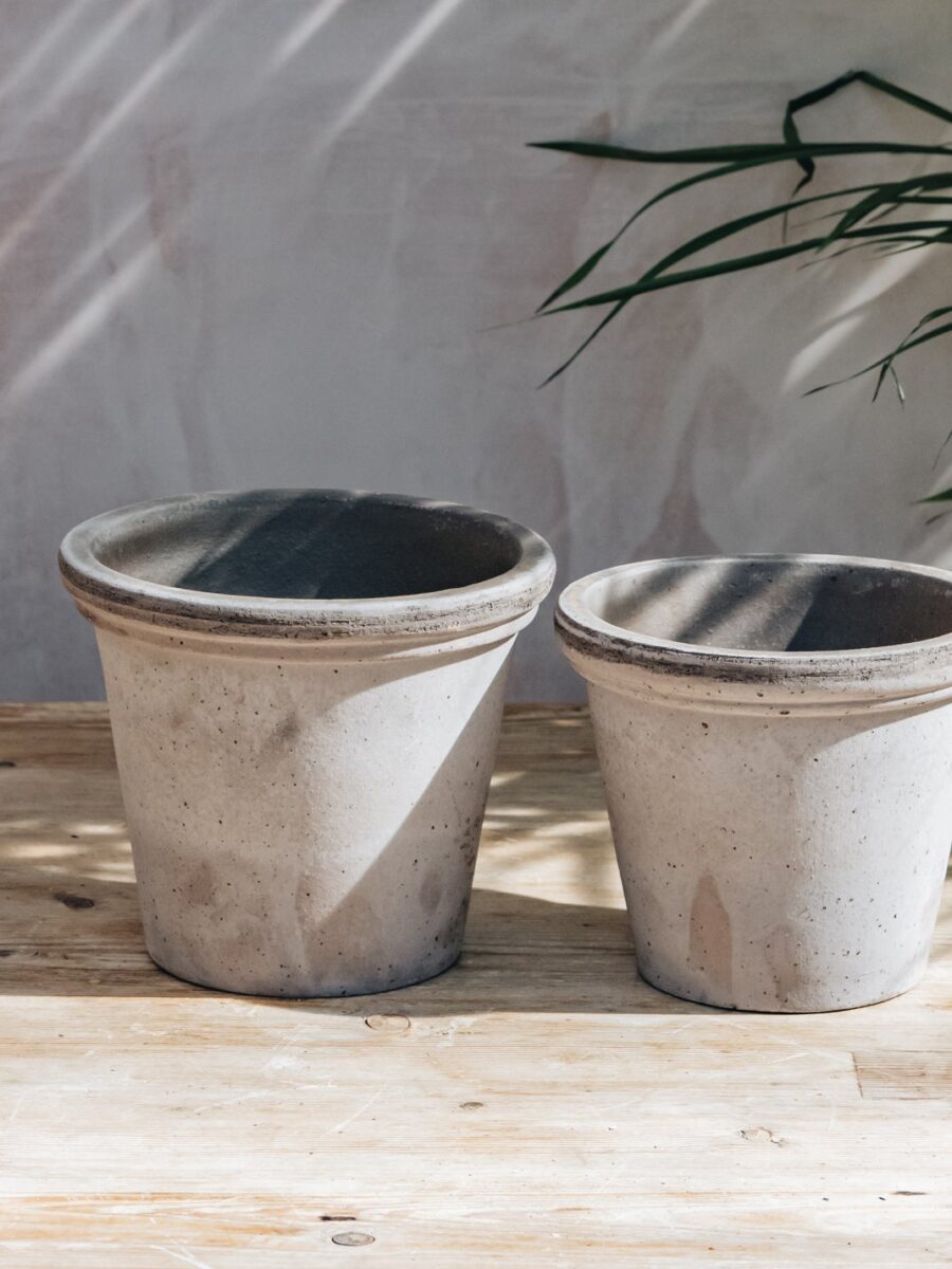 Bergs Potter vazonas Flora