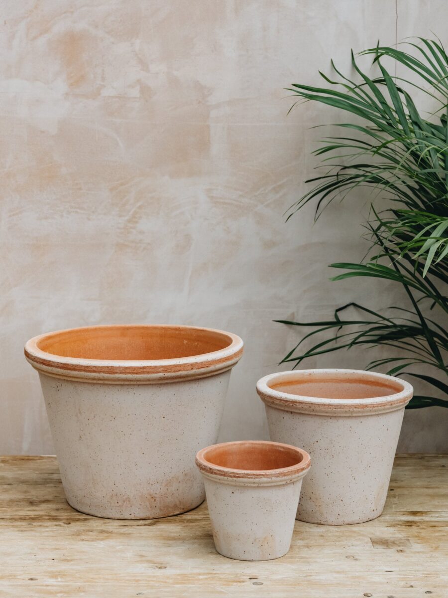 Bergs Potter vazonas Flora