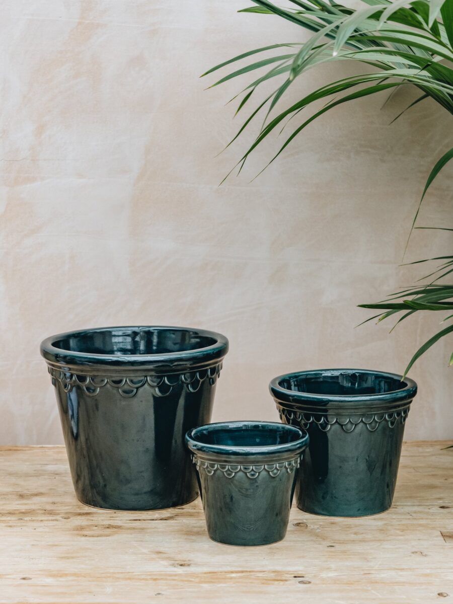 Bergs Potter vazonas Petroleum