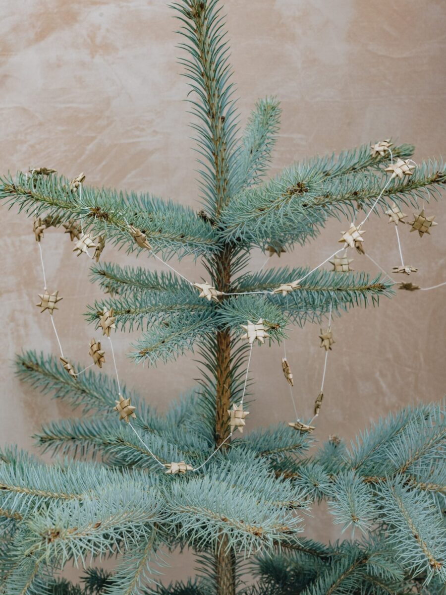 Kalėdinės eglutės girlianda