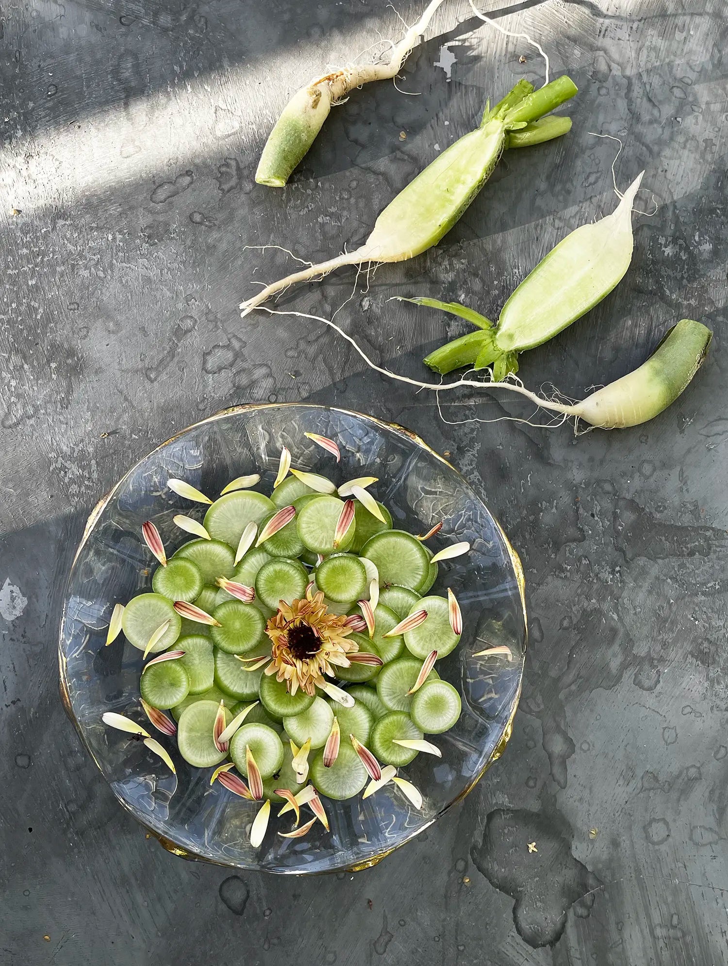 Ridikėliai Green Loubo Improved, sėklos - Image 2