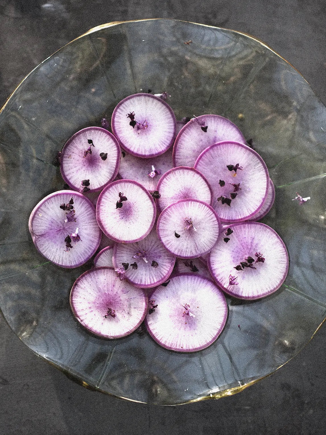 Ridikas Daikon KN BRAVO F1, sėklos - Image 5