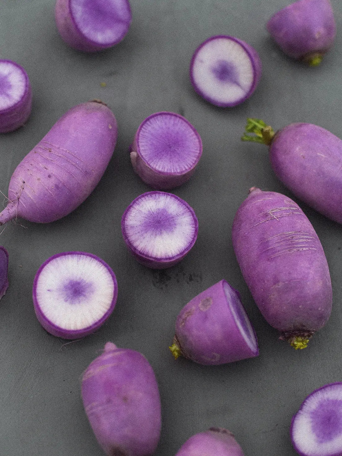 Ridikas Daikon KN BRAVO F1, sėklos - Image 3