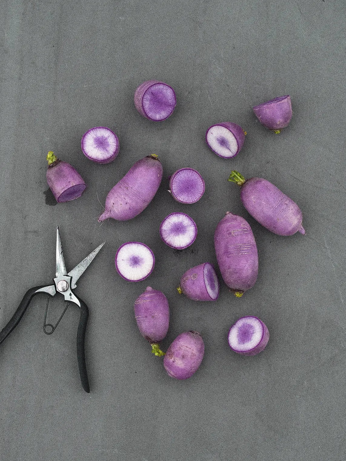 Ridikas Daikon KN BRAVO F1, sėklos