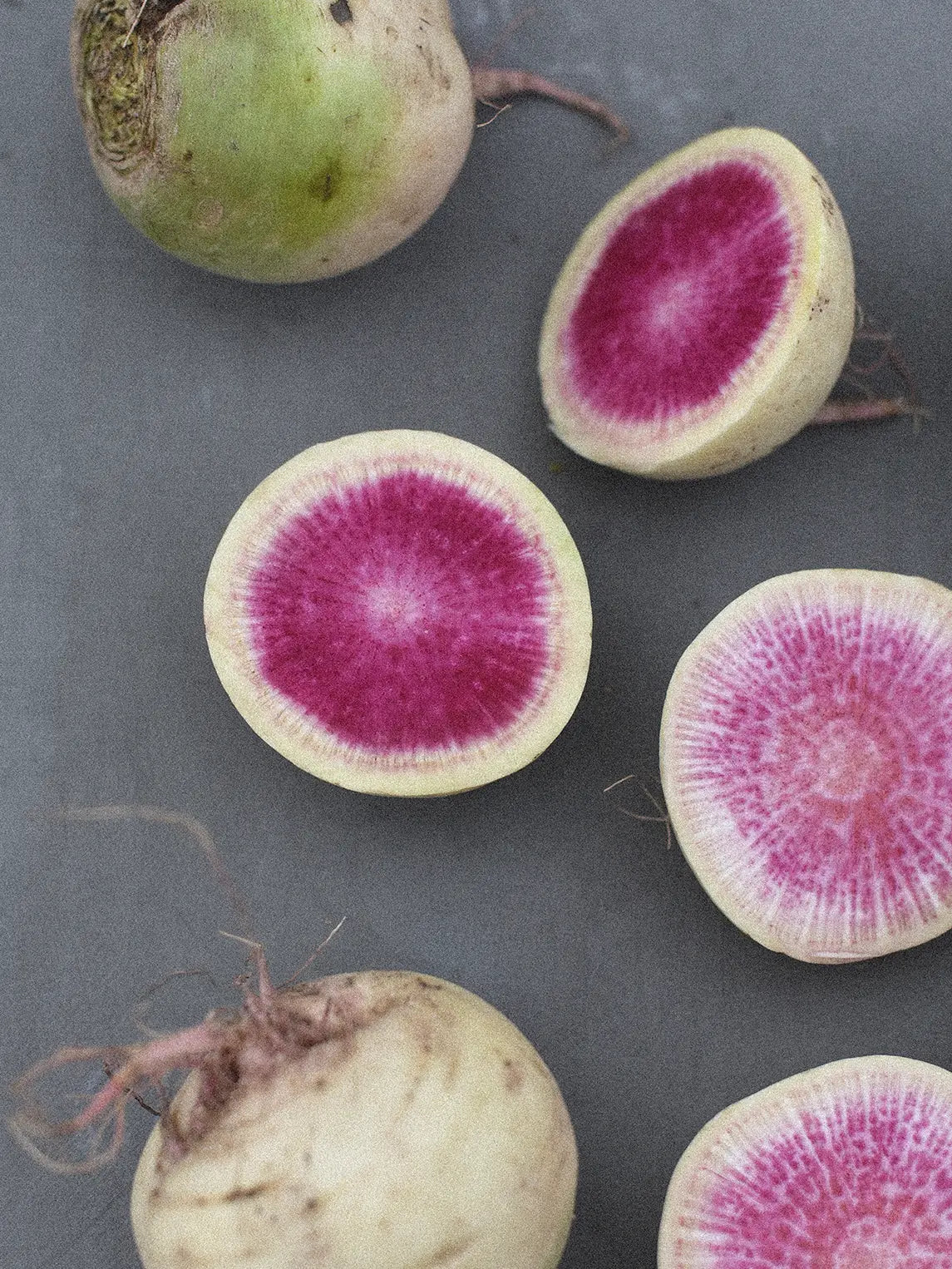 Ridikai Daikon Red Meat, sėklos - Image 2