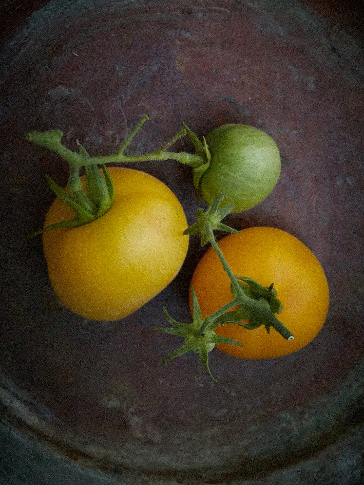 Pomidorai Peach, sėklos