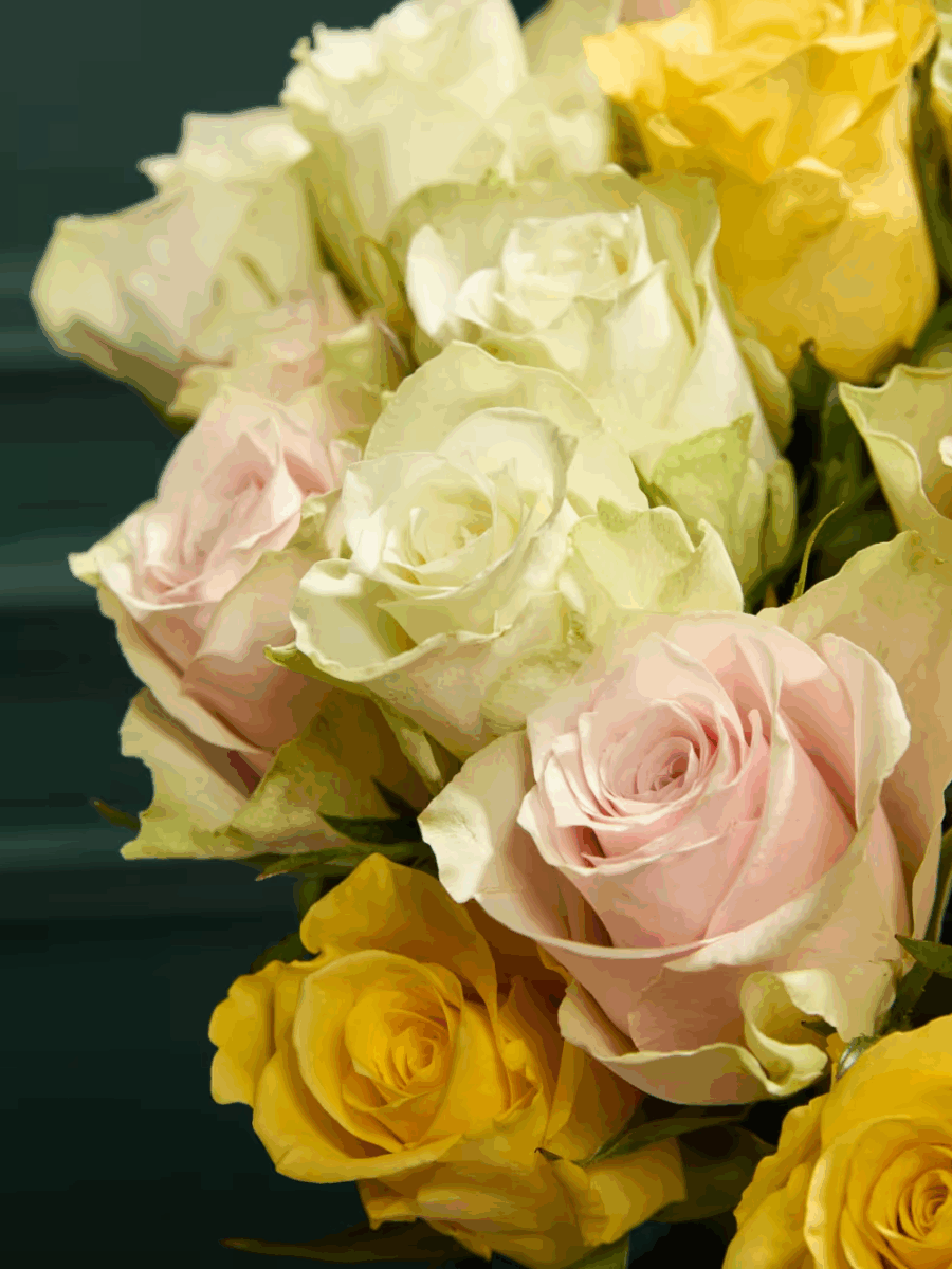 Geltonų, švelniai rožinių ir baltų rožių puokštė