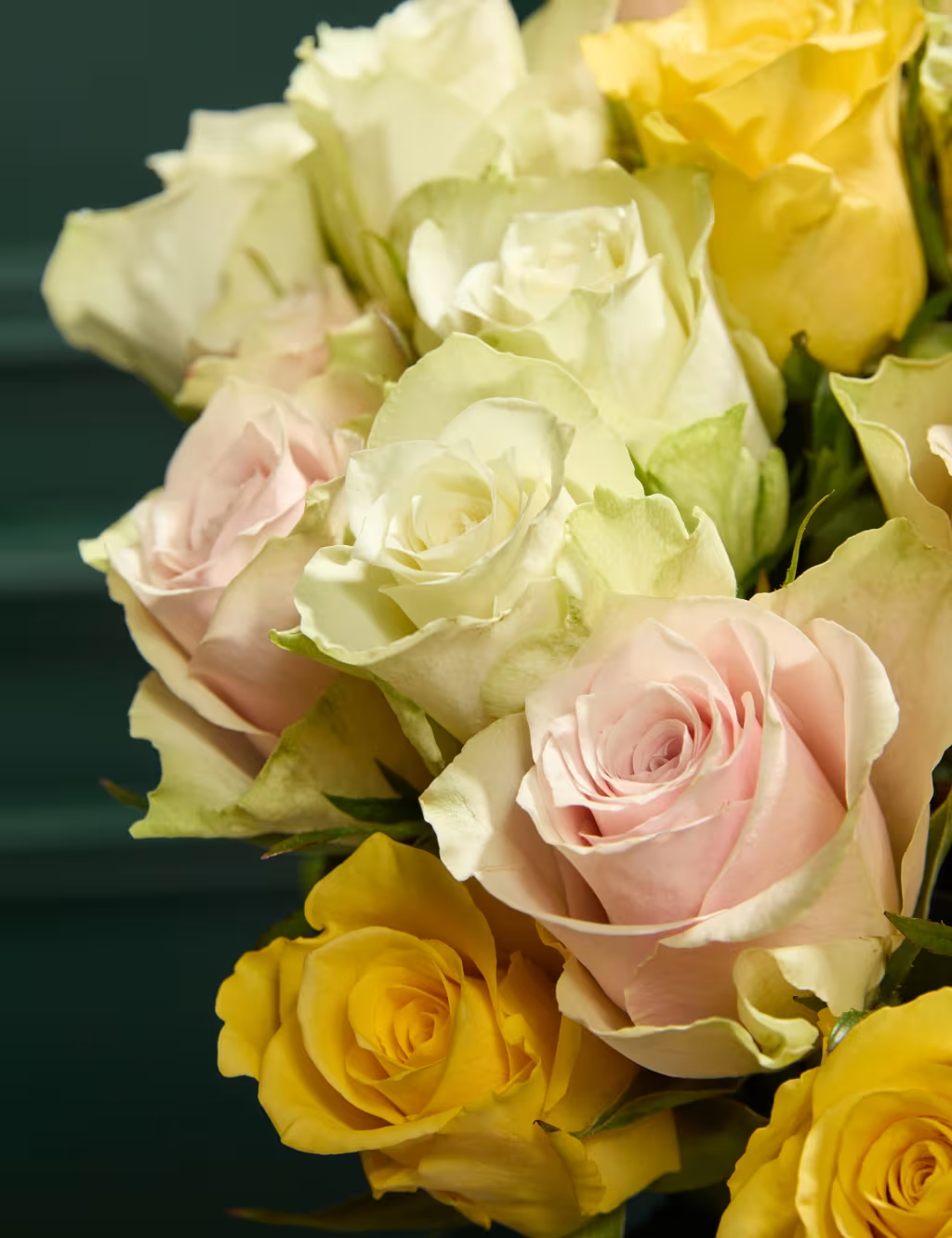 Geltonų, švelniai rožinių ir baltų rožių puokštė