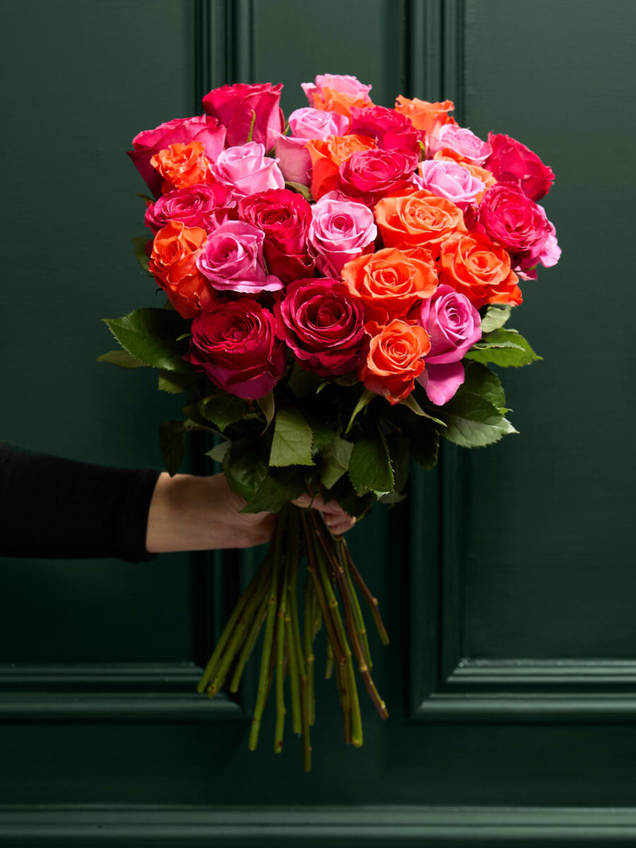 Ryškiaspalvių raudonų ir rožinių rožių puokštė