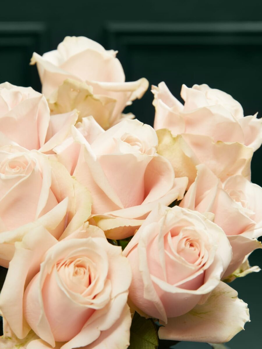 Švelniai rožinių Avalanche™ rožių puokštė