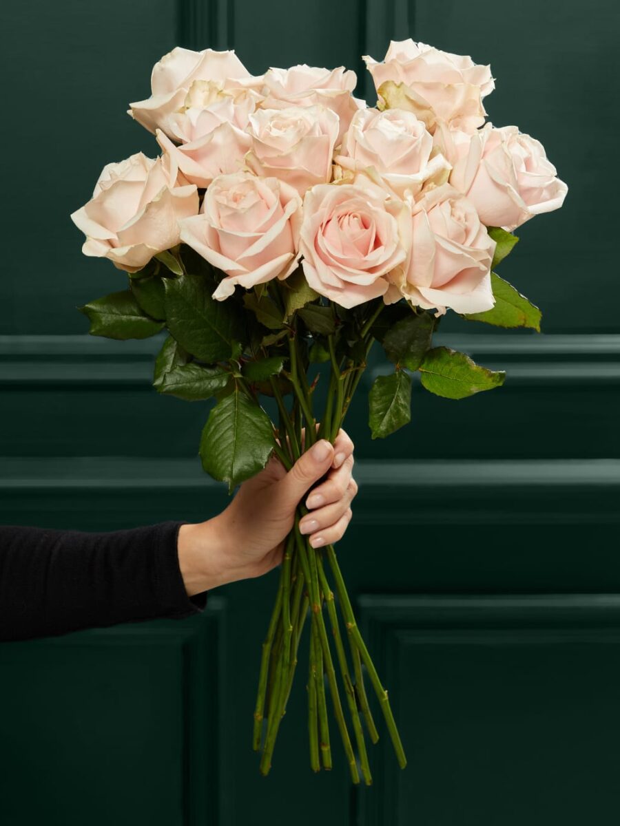 Švelniai rožinių Avalanche™ rožių puokštė