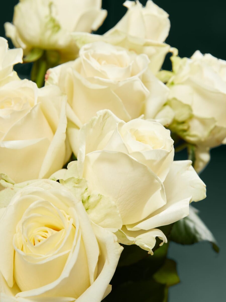 Baltų Avalanche™ rožių puokštė