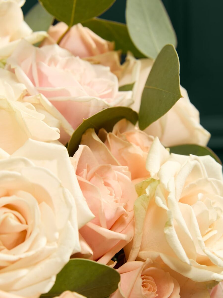 Ypatinga klasikinių rožių gėlių puokštė