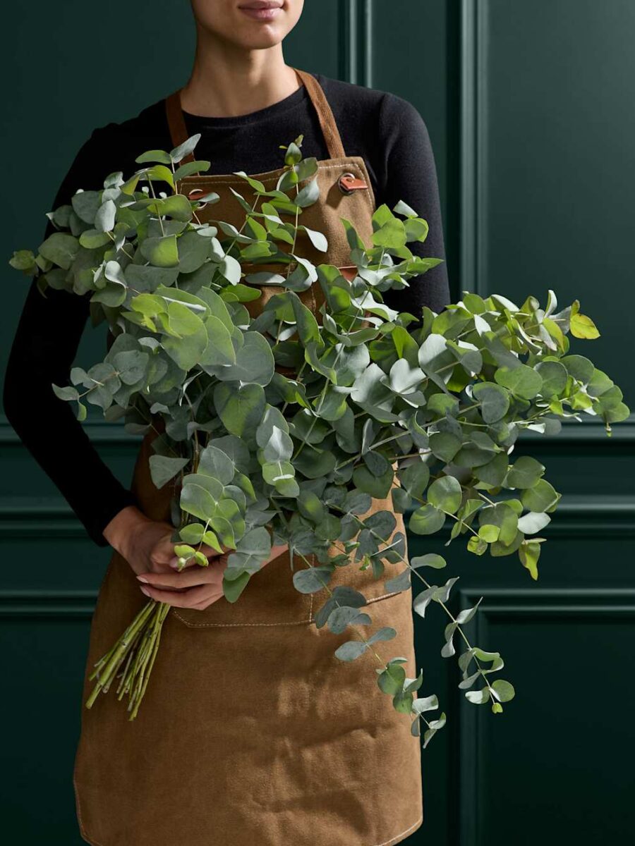 Eukalipto gėlių puokštė