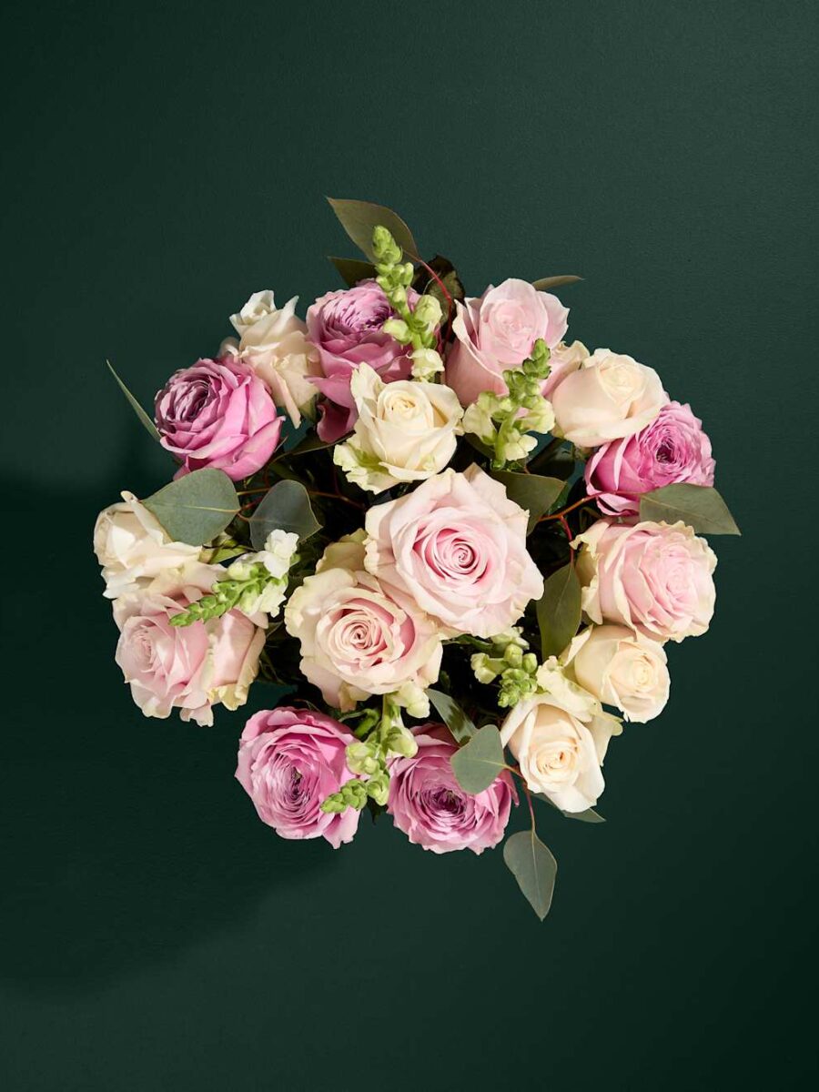 Bijūninių rožių gėlių puokštė