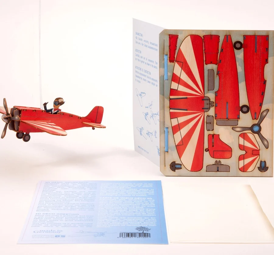 Rankų darbo 3D medinis atvirukas–sudėliojama dekoracija „Lėktuvėlis”