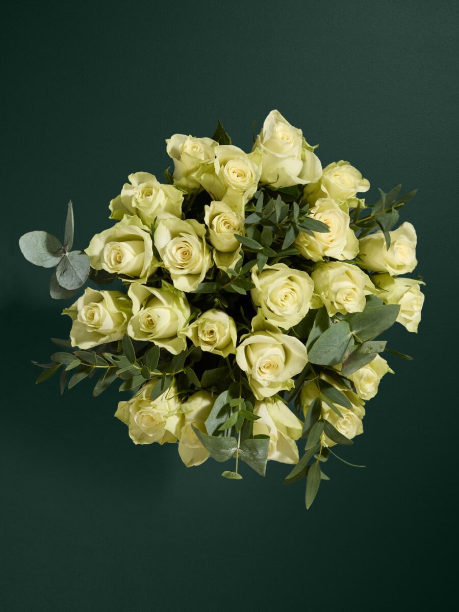 Šventinė baltų rožių ir eukalipto gėlių puokštė