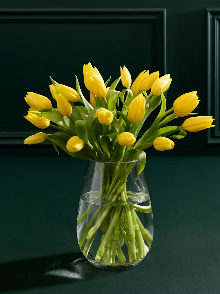 Geltonų tulpių gėlių puokštė