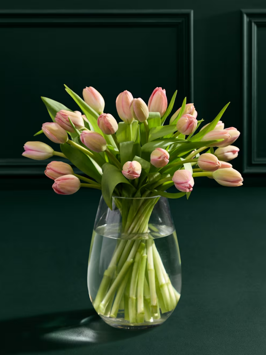 Rožinių tulpių gėlių puokštė