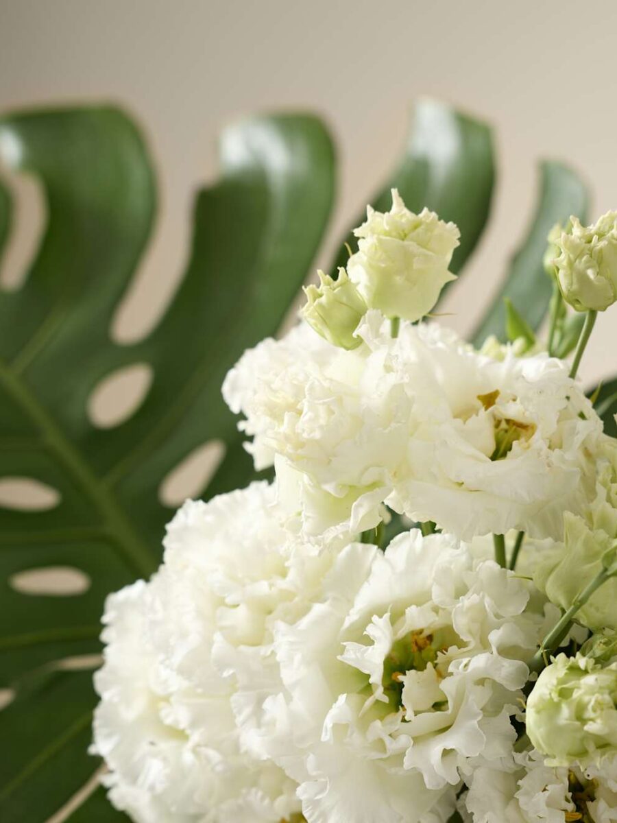 Baltų eustomų puokštė