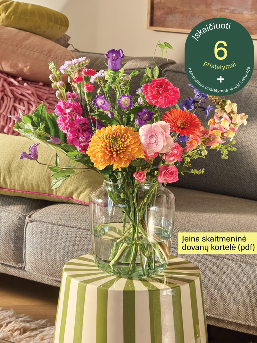 6x • Maža gėlių prenumerata
