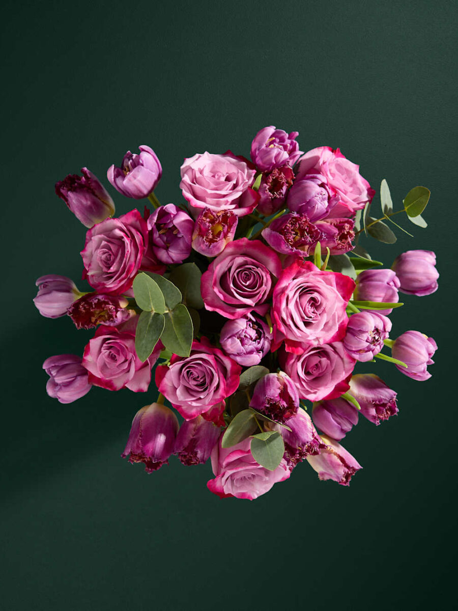 Purpurinių rožių ir tulpių gėlių puokštė