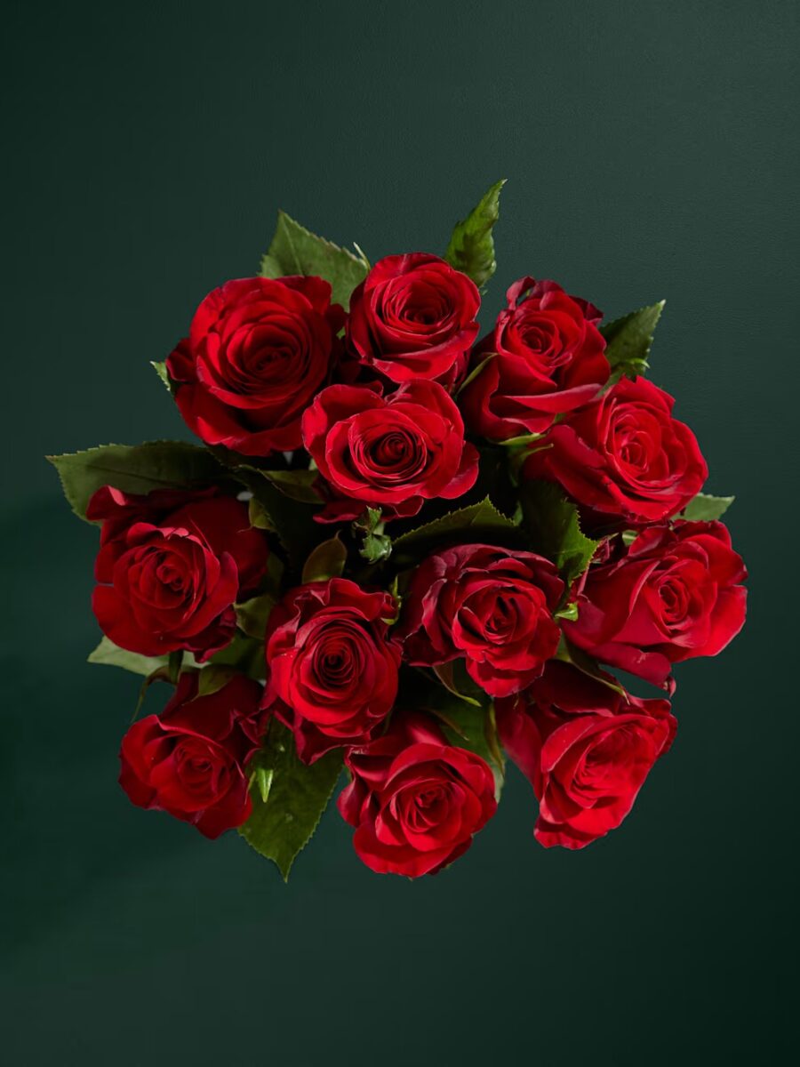 Tuzino sodriai raudonų rožių gėlių puokštė