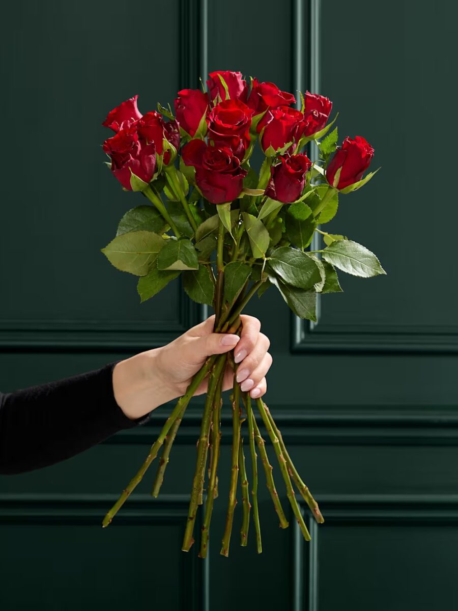 Tuzino sodriai raudonų rožių gėlių puokštė