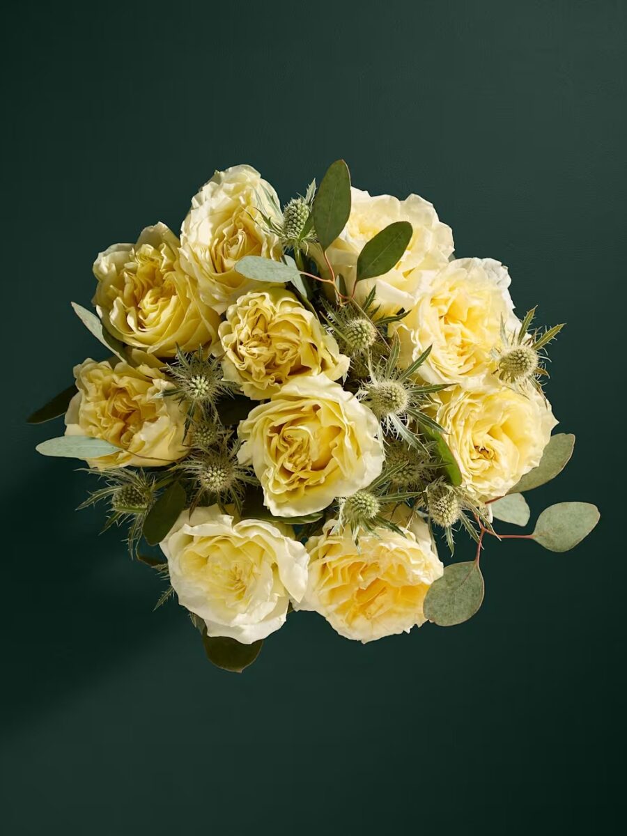 Kreminės spalvos bijūninių rožių gėlių puokštė