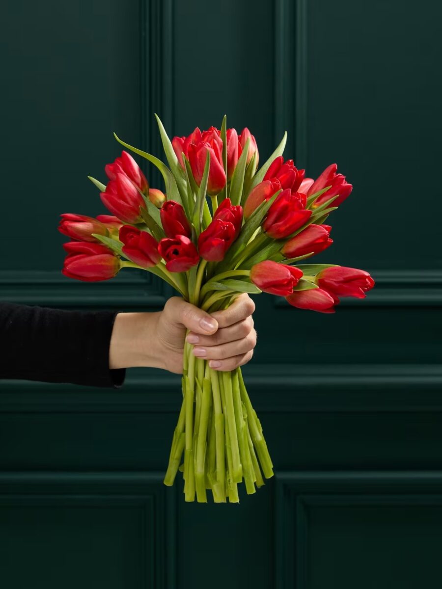 Raudonspalvių tulpių gėlių puokštė