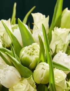 Pilnavidurių tulpių ir rožių gėlių puokštė