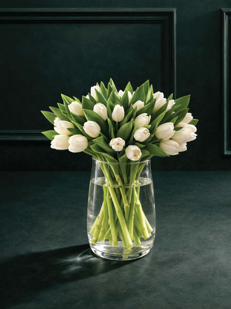 Baltų tulpių gėlių puokštė