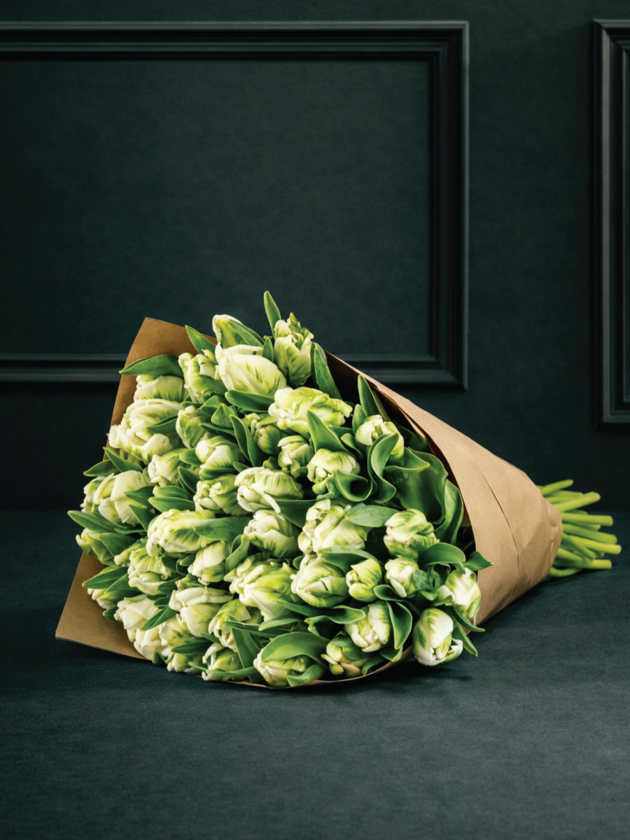 Baltai žalių, papūginių, spalvą keičiančių tulpių gėlių puokštė