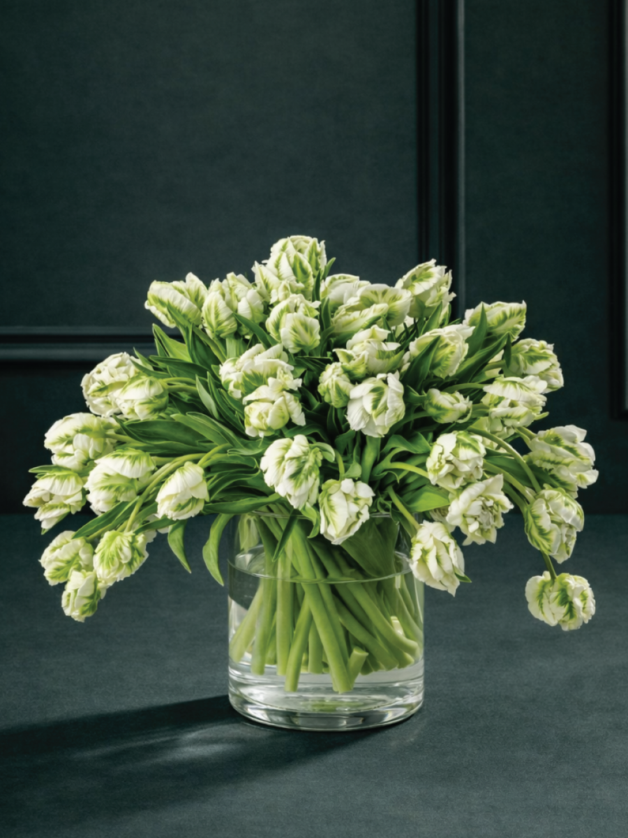 Baltai žalių, papūginių, spalvą keičiančių tulpių gėlių puokštė