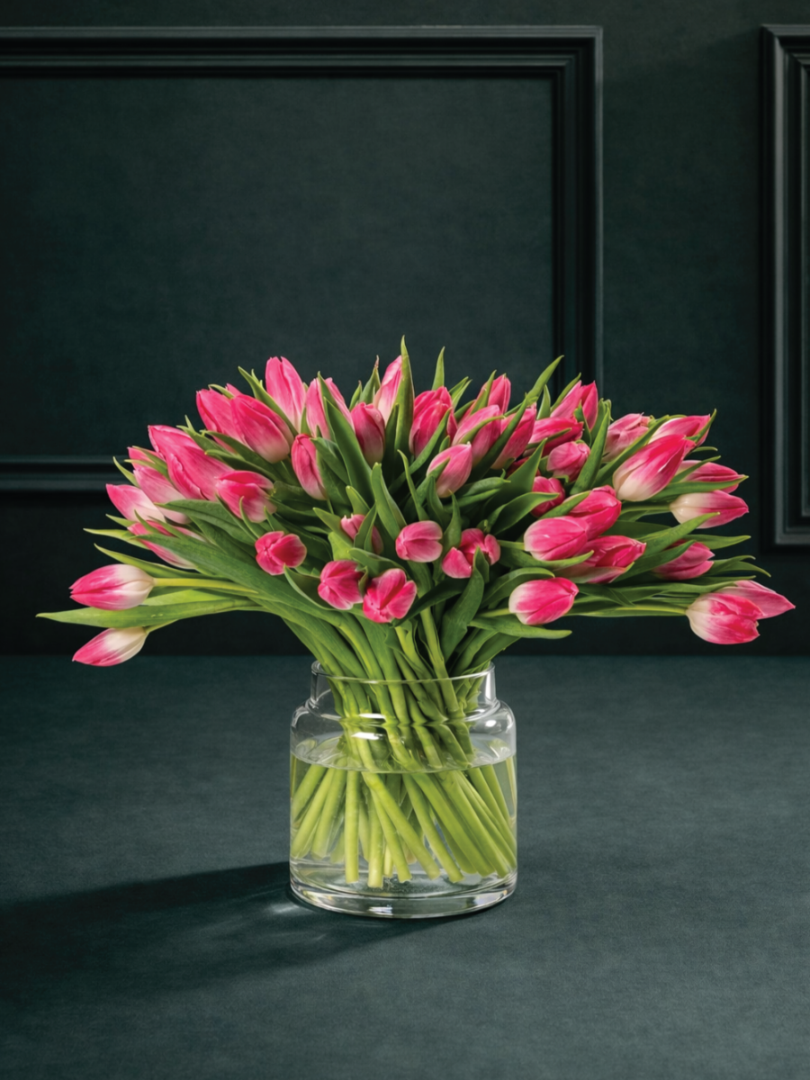 Ryškiai rožinių tulpių gėlių puokštė