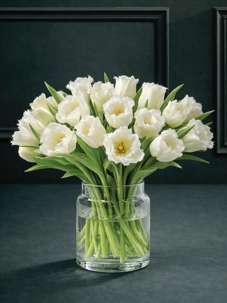 Karpytų, baltų tulpių gėlių puokštė