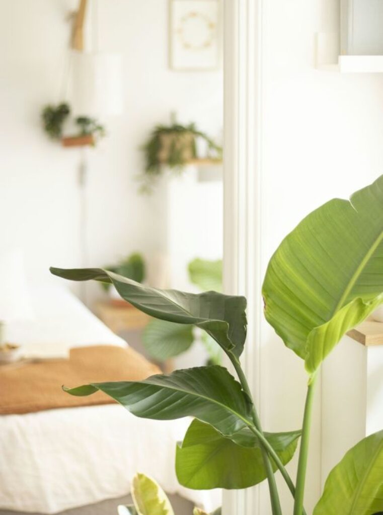 Daugiau žalumos namams